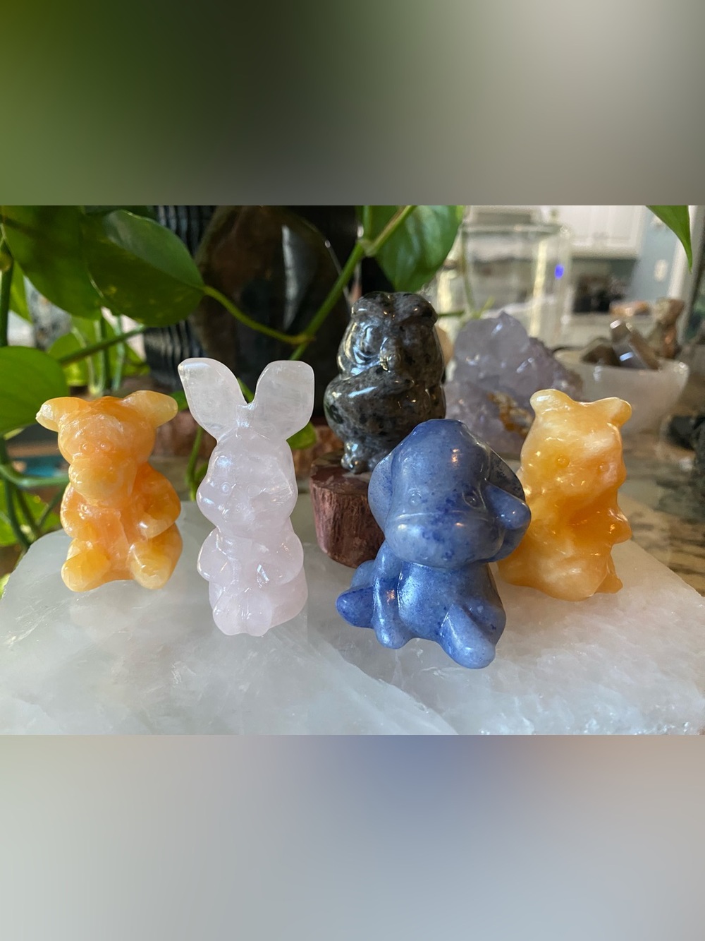 🍯✨ Oh, bother… this is the sweetest crystal collection! ✨🍯